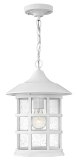 Medium Hanging Pendant (87|1802CW)