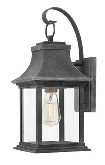 Medium Wall Mount Lantern (87|2930DZ)