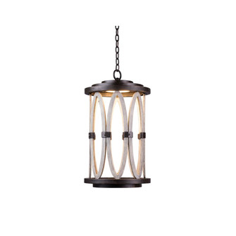 Belmont Large LED Hanging Lantern (133|404450FG)