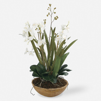 Uttermost Moth Orchid Planter (85|60039)