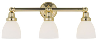 3 Light Polished Brass Bath Light (108|1023-02)