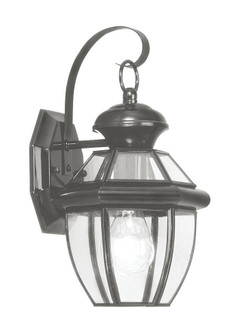 1 Light Black Outdoor Wall Lantern (108|2051-04)