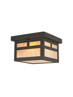 1 Light Bronze Outdoor Ceiling Mount (108|2138-07)