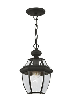 1 Light Black Outdoor Chain Lantern (108|2152-04)