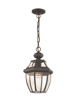 1 Light Bronze Outdoor Chain Lantern (108|2152-07)