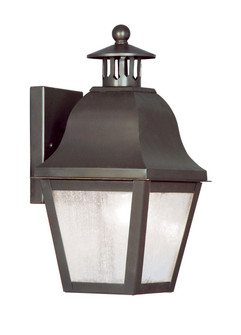1 Light Bronze Outdoor Wall Lantern (108|2550-07)
