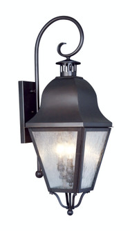 3 Light Bronze Outdoor Wall Lantern (108|2555-07)
