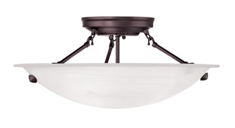3 Light Bronze Ceiling Mount (108|4273-07)