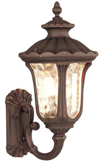 3 Light IB Outdoor Wall Lantern (108|7656-58)