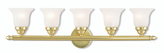 5 Light Polished Brass Bath Light (108|1065-02)