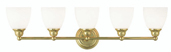 5 Light Polished Brass Bath Light (108|13665-02)