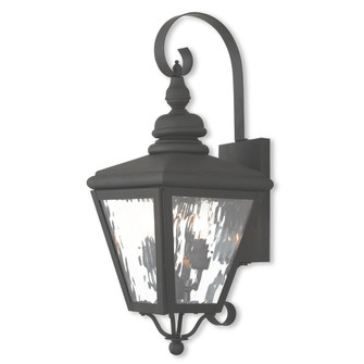 2 Light Black Outdoor Wall Lantern (108|2031-04)