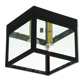 2 Lt BZ Outdoor Ceiling Mount (108|20588-07)