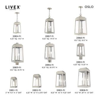 1 Lt Brushed Nickel Outdoor Wall Lantern (108|20852-91)