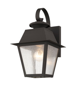 1 Light Bronze Outdoor Wall Lantern (108|2162-07)
