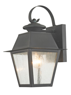 1 Light Charcoal Outdoor Wall Lantern (108|2162-61)