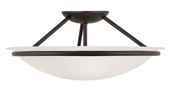 3 Light Black Ceiling Mount (108|4824-04)