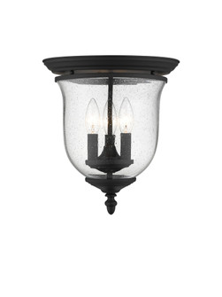 3 Light Black Ceiling Mount (108|5024-04)