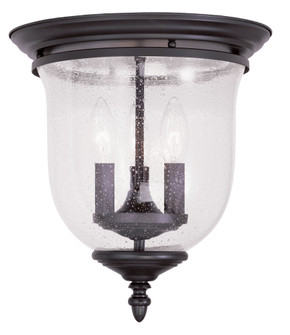 3 Light Bronze Ceiling Mount (108|5024-07)