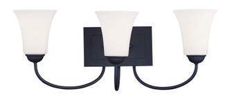3 Light Black Bath Light (108|6483-04)