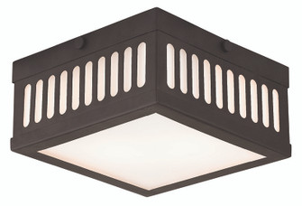 2 Light Bronze Ceiling Mount (108|73162-07)