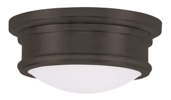 2 Light Bronze Ceiling Mount (108|7341-07)