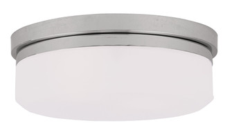 2 Light CH Ceiling Mount or Wall Mount (108|7392-05)
