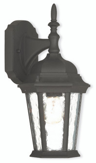 1 Light TBK Outdoor Wall Lantern (108|75460-14)