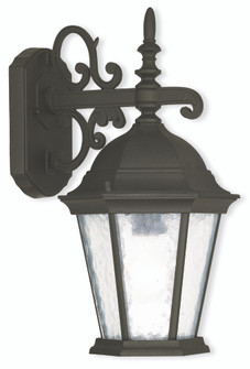 1 Light TBK Outdoor Wall Lantern (108|75462-14)