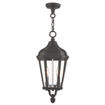 2 Lt TBK Outdoor Pendant Lantern (108|76189-14)