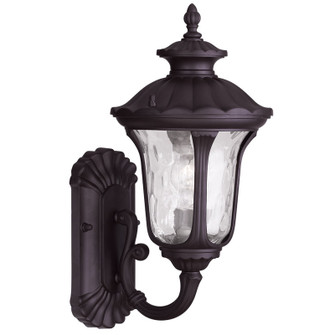 1 Light Bronze Outdoor Wall Lantern (108|7850-07)