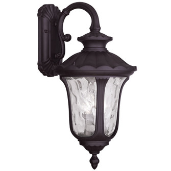 3 Light Bronze Outdoor Wall Lantern (108|7857-07)