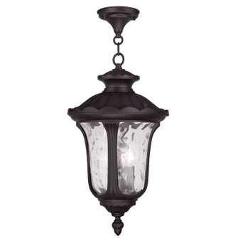 3 Light Bronze Chain Lantern (108|7858-07)