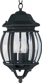 Crown Hill-Outdoor Hanging Lantern (19|1036BK)