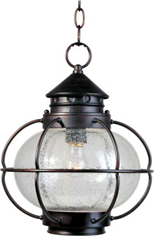 Portsmouth-Outdoor Hanging Lantern (19|30506CDOI)