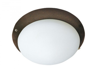 Fan Light Kits-Ceiling Fan Light Kit (19|FKT206OI)