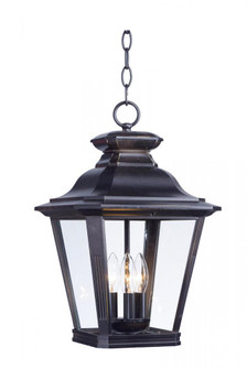 Knoxville-Outdoor Hanging Lantern (19|1139CLBZ)