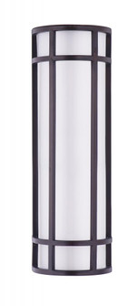 Moon Ray-Outdoor Wall Mount (19|55573WTBZ)