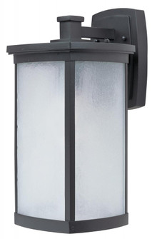 Terrace LED E26-Outdoor Wall Mount (19|65754FSBZ)