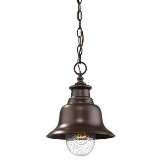 Outdoor Hanging Lantern (670|2514-PBZ)