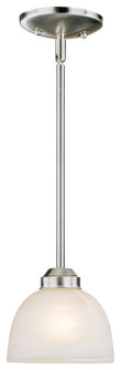Paradox™ - 1 Light Mini Pendant (10|1421-84)