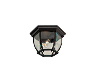 Wyndmere™ - 3 Light Outdoor Flush Mount (10|71174-66)