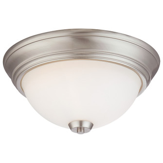 Overland Park - 2 Light Flush Mount (10|4960-84)