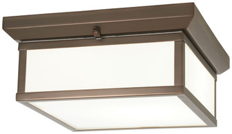 2 Light Flush Mount (10|6919-281)
