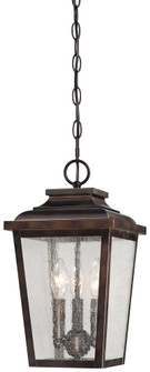 Irvington Manor - 3 Light Chain Hung Lantern (10|72174-189)