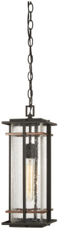 San Marcos - 1 Light Chain Hung (10|72494-68)