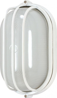 1 Light - 10'' Oval Cage Bulkhead - Semi Gloss White Finish (81|60/524)