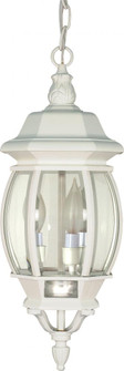 Central Park - 3 Light 20'' Hanging Lantern with Clear Beveled Glass - White Finish (81|60/894)