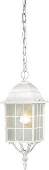 Adams - 1 Light 16'' Hanging Lantern with Frosted Glass - White Finish (81|60/4911)