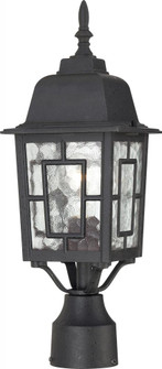 Banyan - 1 Light 17'' Post Lantern with Clear Water Glass - Textured Black Finish (81|60/4929)